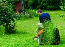 Kwikfynd Lawn Mowing
bringalbert